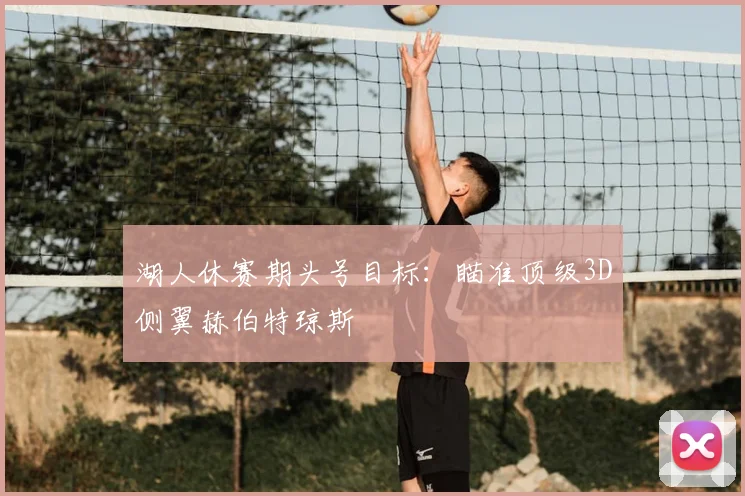 湖人休赛期头号目标：瞄准顶级3D侧翼赫伯特琼斯