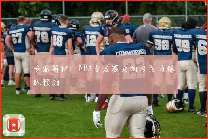 专家解析：NBA季后赛走向与黑马球队预测