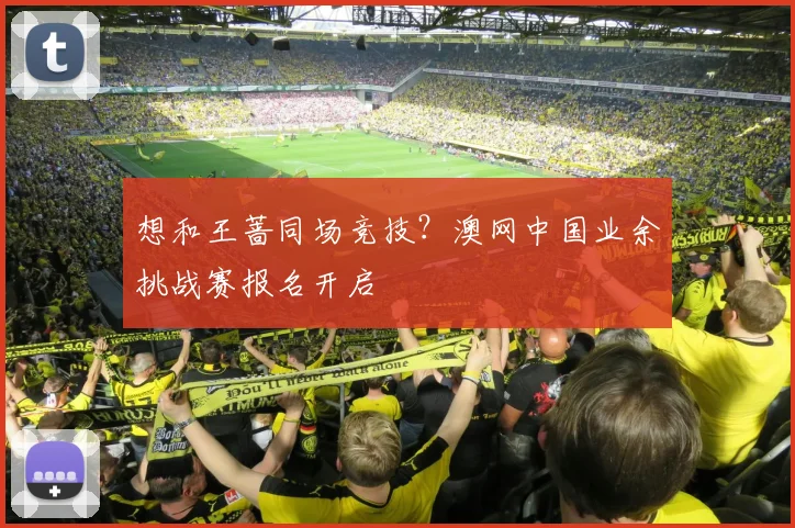 想和王蔷同场竞技？澳网中国业余挑战赛报名开启
