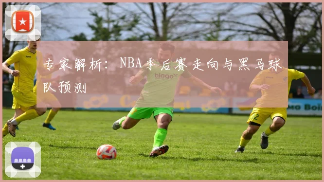 专家解析：NBA季后赛走向与黑马球队预测